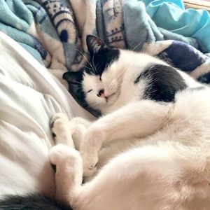 Meet your Posher, Audrey